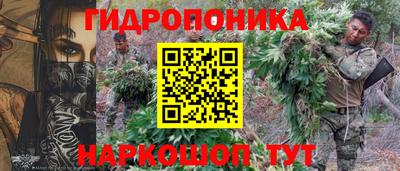 прущие грибы Краснокаменск