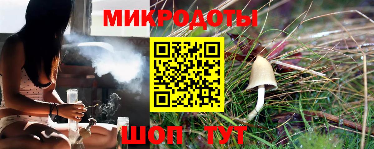 Псилоцибиновые грибы мицелий  Вход с VPN  закладка  Галлюциногенные грибы Psilocybe  Кисловодск 