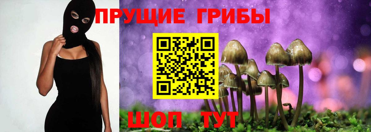 Галлюциногенные грибы Magic Shrooms Кисловодск